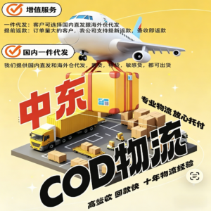 中东COD小包物流